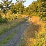 Dagmar's In * Winterberg