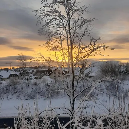 Dagmar's In Apartment