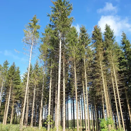 Apartment Dagmar's In *