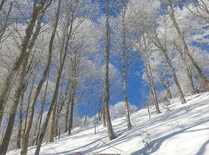 Dagmar's In Apartamento *