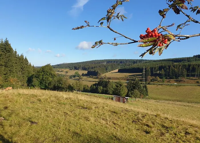 Dagmar's In Apartmán Winterberg