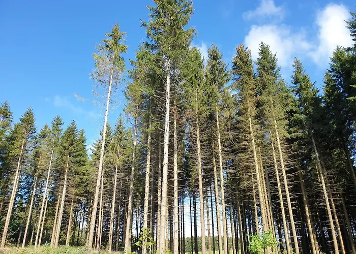 Apartmán Dagmar's In *